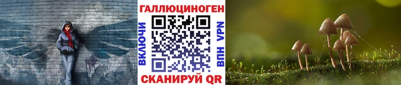 Галлюциногенные грибы прущие грибы  Приозерск 